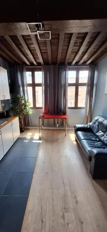 The 16Th Century 2Br Apartment In The City Center Antwerp