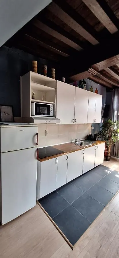 The 16Th Century 2Br Apartment In The City Center Antwerp Belgium